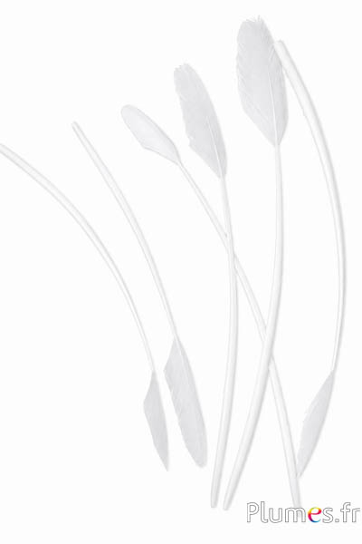 Rispe Schwan - 38-44 cm - weiss